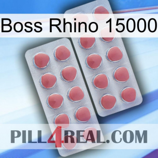 Boss Rhino 15000 19